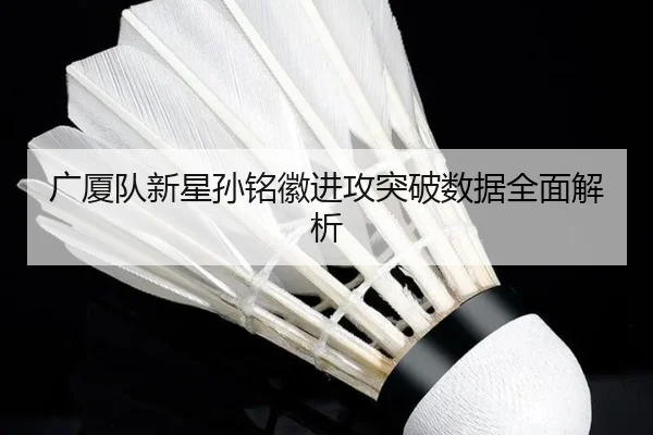 guang-sha-dui-xin-xing-sun-ming-hui-jin-gong-tu-po-shu-ju-quan-mian-jie-xi-2-714.jpg